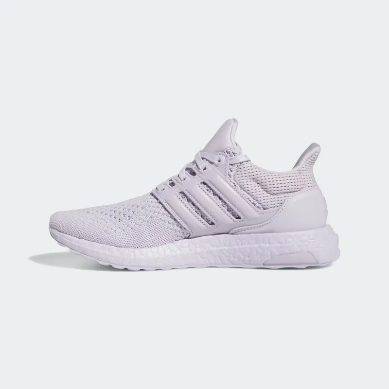 Adidas Ultraboost 1.0 Silver Dawn / Silver Dawn / Silver Violet (GY9904)