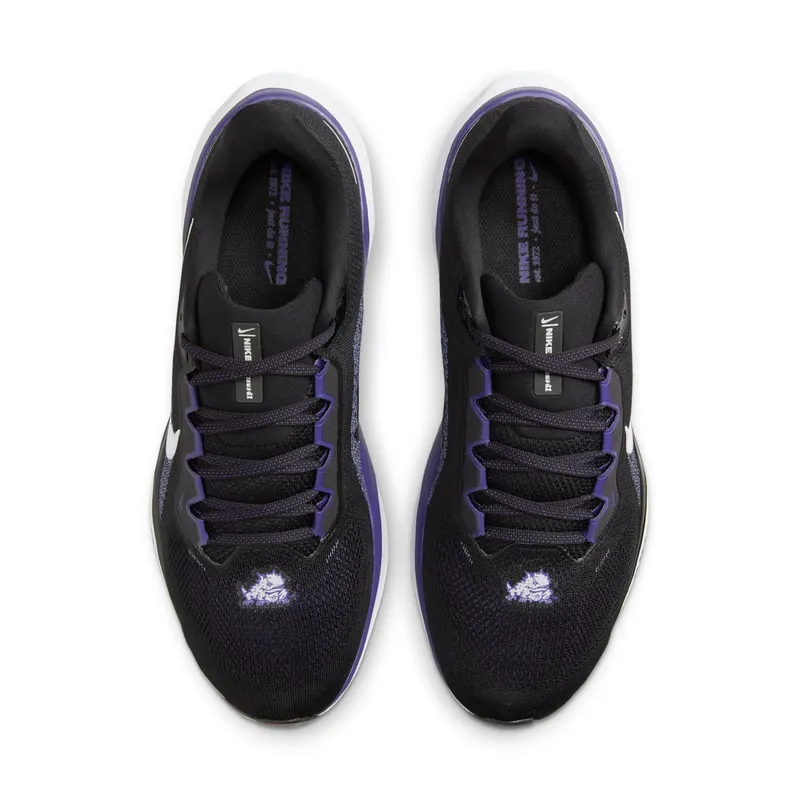 Nike Air Zoom Pegasus 41 TCU (FZ5143-001)