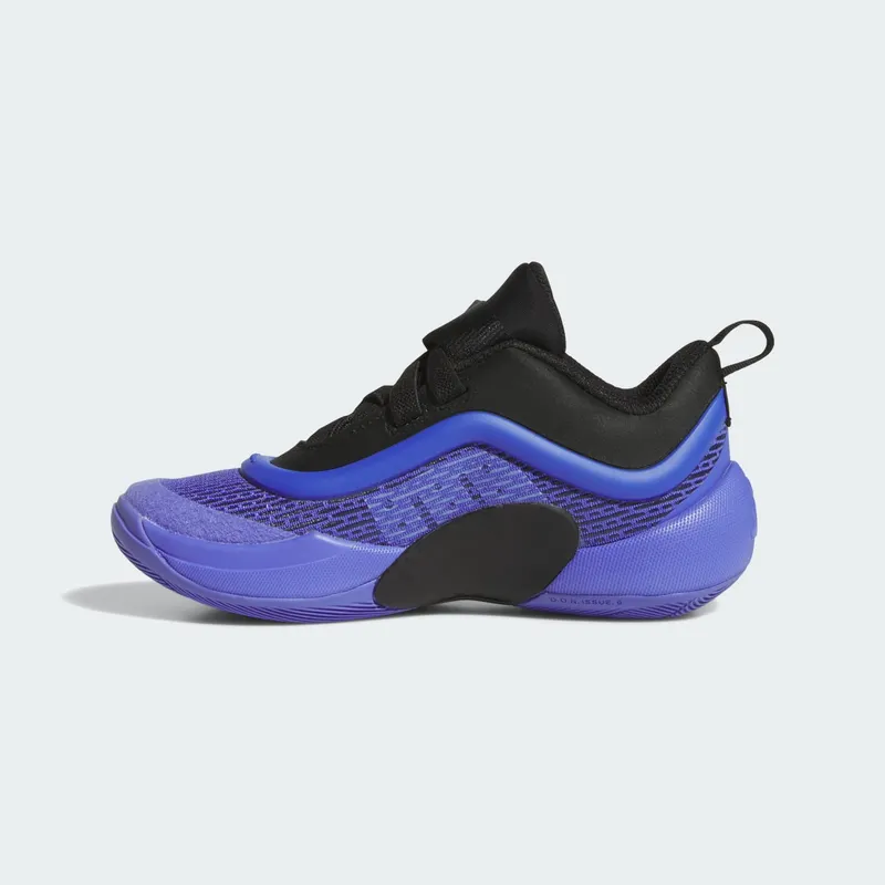 Adidas D.O.N. Issue 6 Cobalt Blue / Core Black / Blue Spark (IG9096)