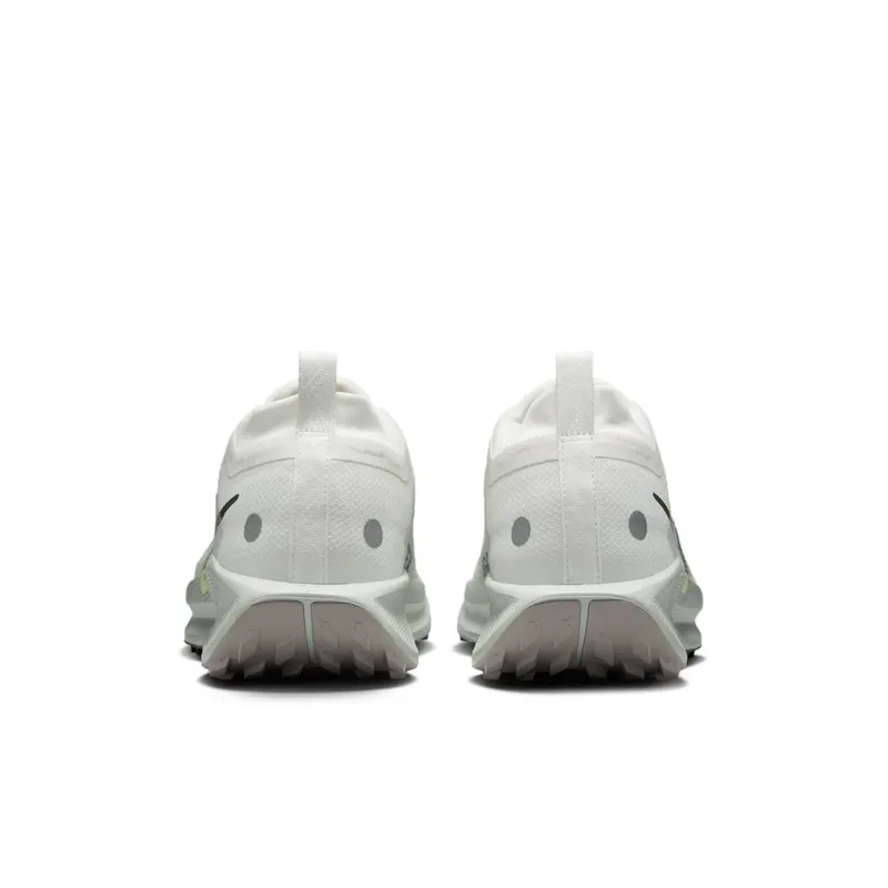 Nike Pegasus Trail 5 Gore-Tex Summit White Light Silver College Grey Sequoia (FQ0908-102)
