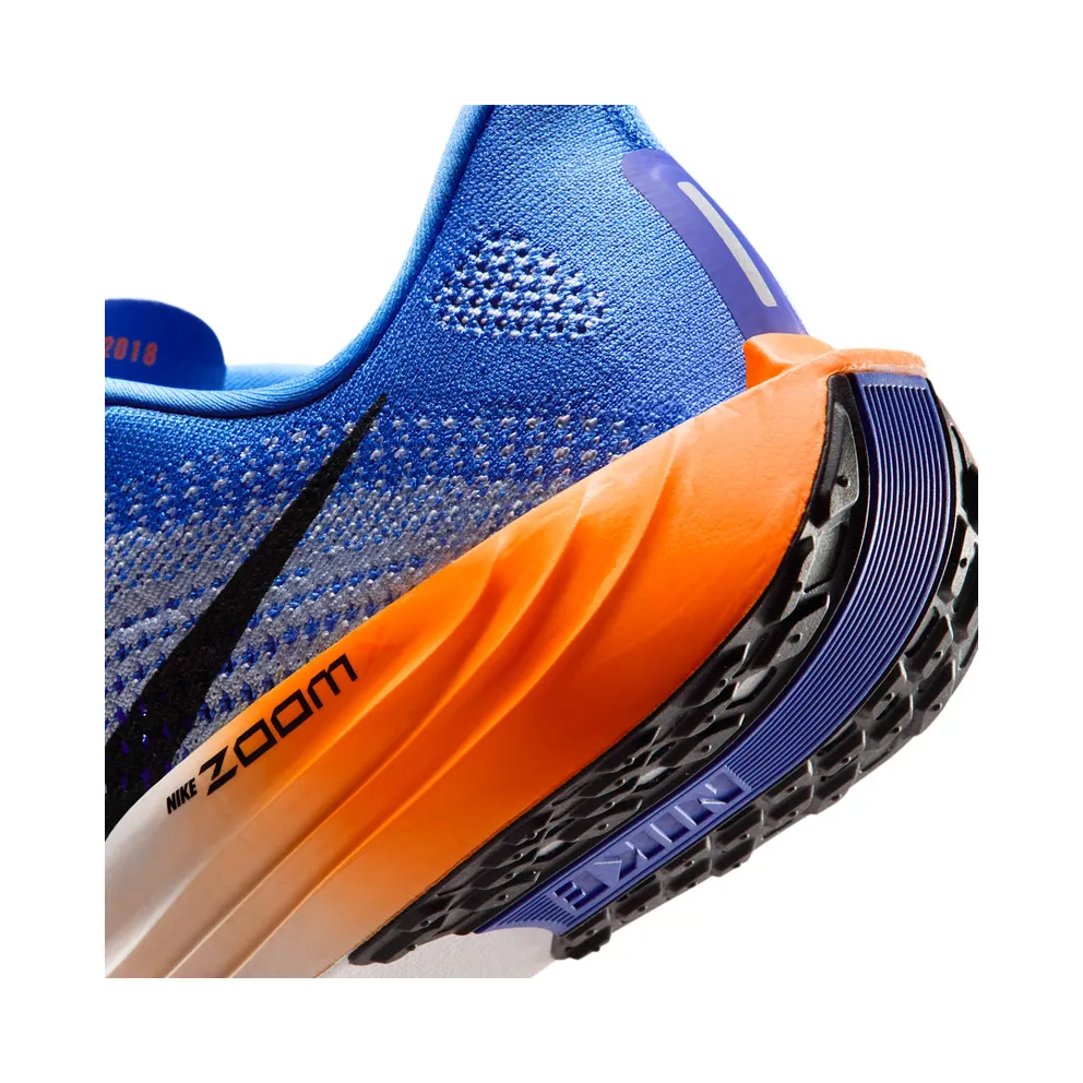 Nike Pegasus Crystal Blue/Hydrogen Blue/Lapis/Off Noir (FQ7262-403)