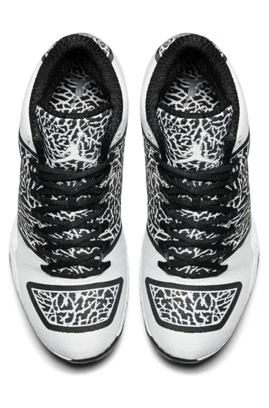 air-jordan-29 695515-070