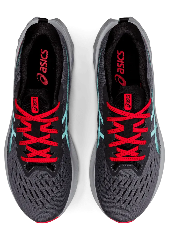 asics-novablast 1011B192.020