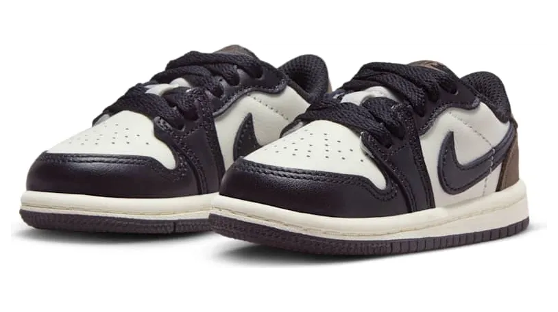 air-jordan-1 FQ5435-102