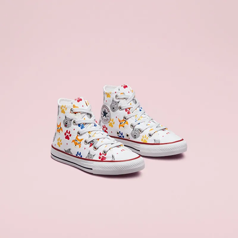Converse Chuck Taylor All Star Wolf Pack (672912C)