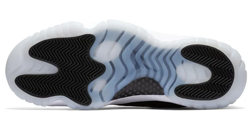 jordan-11 528895-010