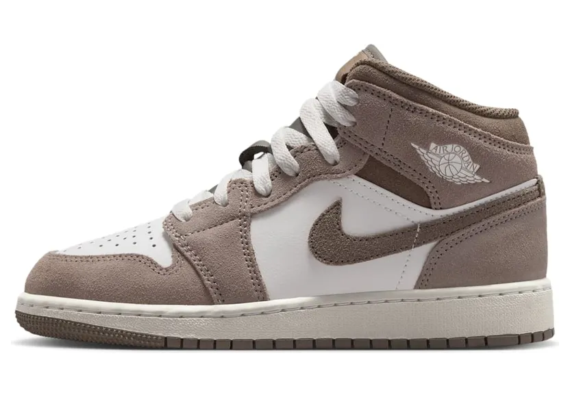 Air Jordan 1 Mid DQ8423-003