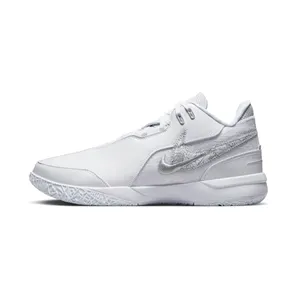 Nike Zoom Lebron NXXT GEN AMPD “White / Metallic Silver / Light Smoke Grey” (FJ1566-102)