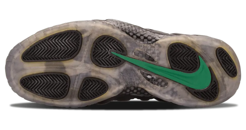 nike-air-foamposite 624041-301