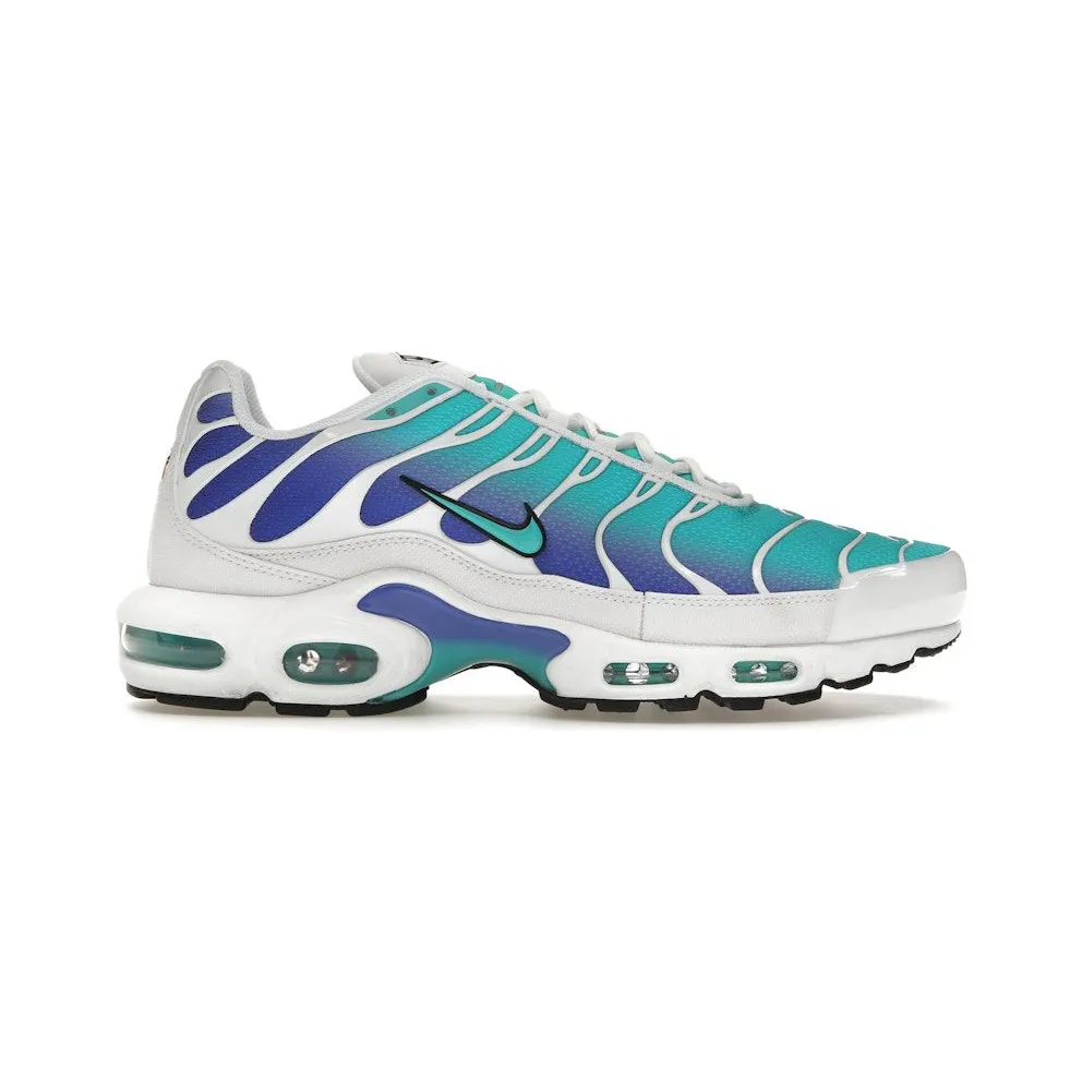 Nike Air Max Plus Aqua (DM0032-102)
