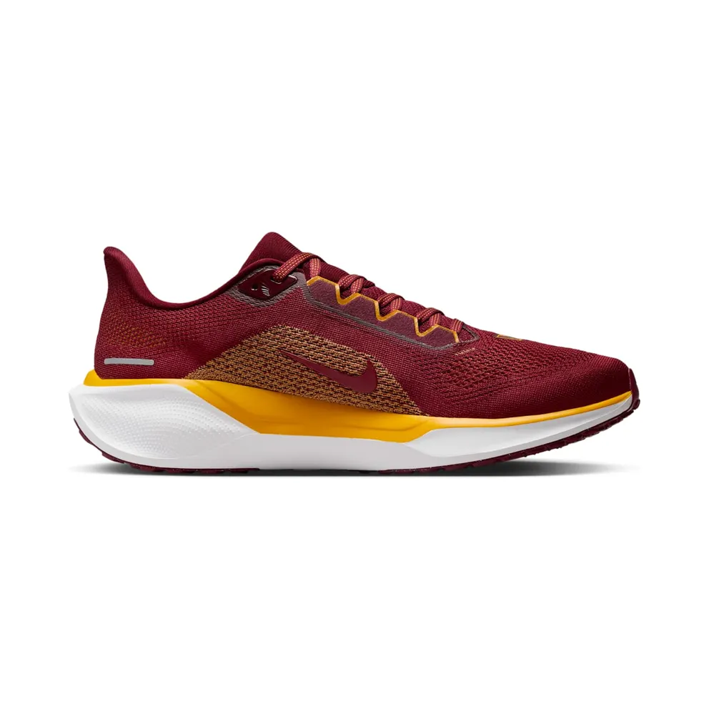 Nike Air Zoom Pegasus 41 Washington Commanders (FZ5069-600)