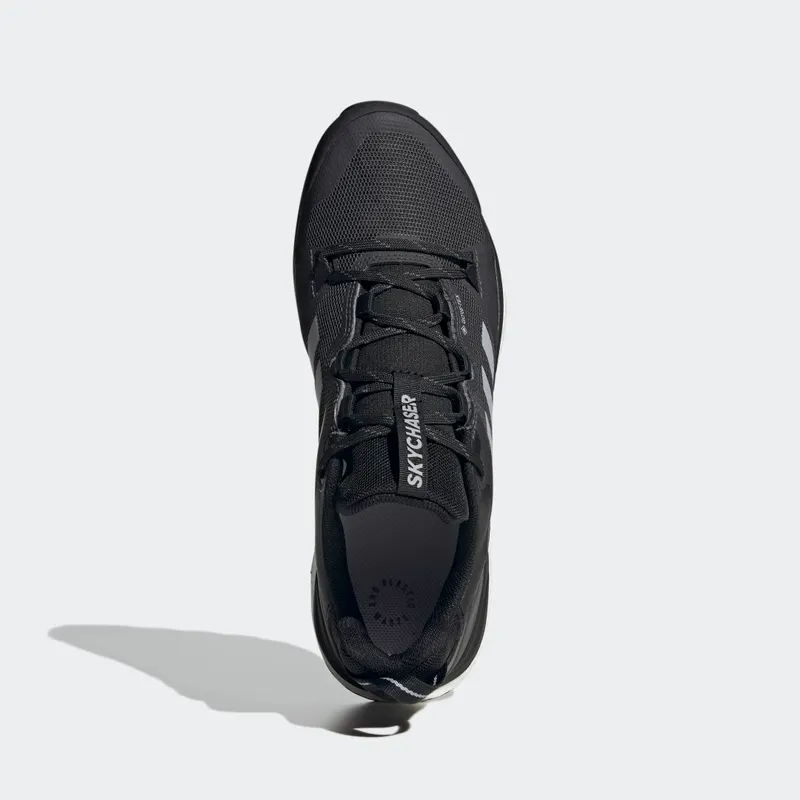 adidas Terrex Skychaser GORE-TEX Hiking 2.0 Core Black / Halo Silver / Dgh Solid Grey (HR1284)