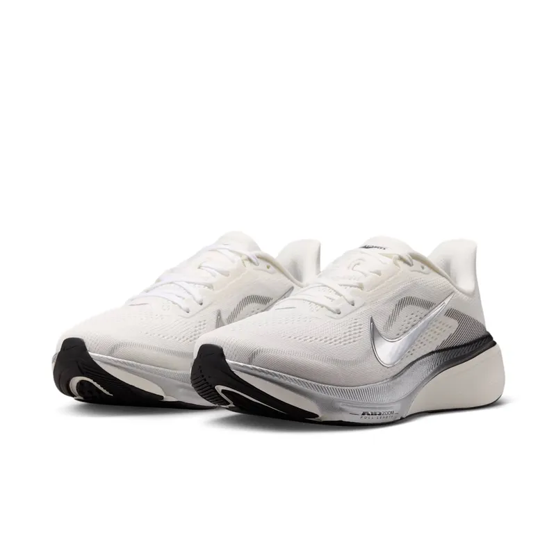 Nike Pegasus Summit White/Sail/Black/Metallic Silver (IR0298-100)