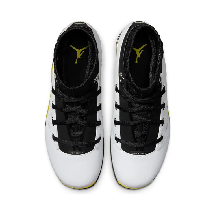 air-jordan-17 FJ0395-100