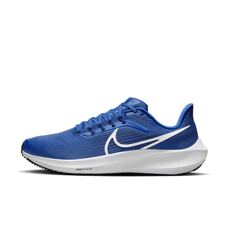 Nike Air Zoom Pegasus 39 TB Game Royal (DM0164-402)