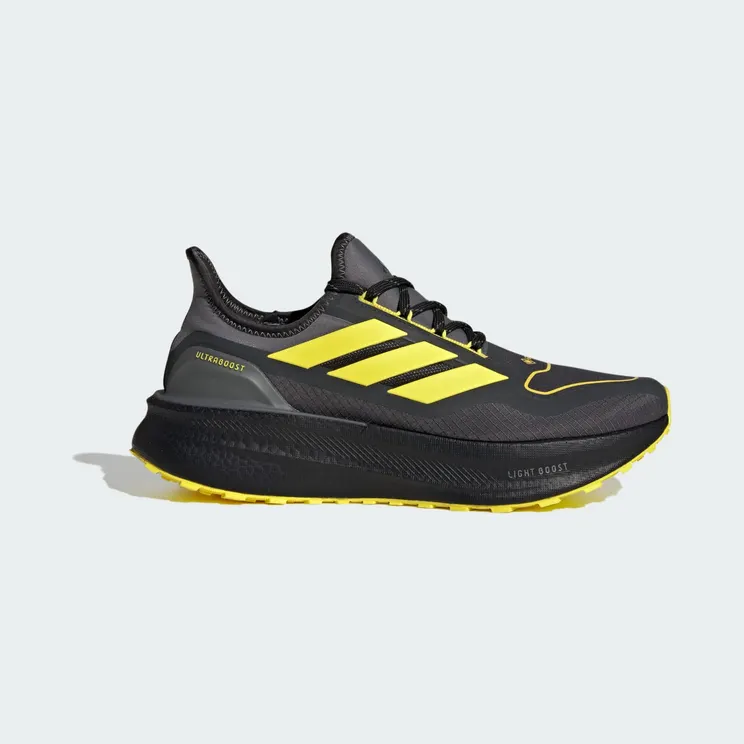Adidas Ultraboost 5 GTX Carbon / Core Black / Grey Four (JI3242)