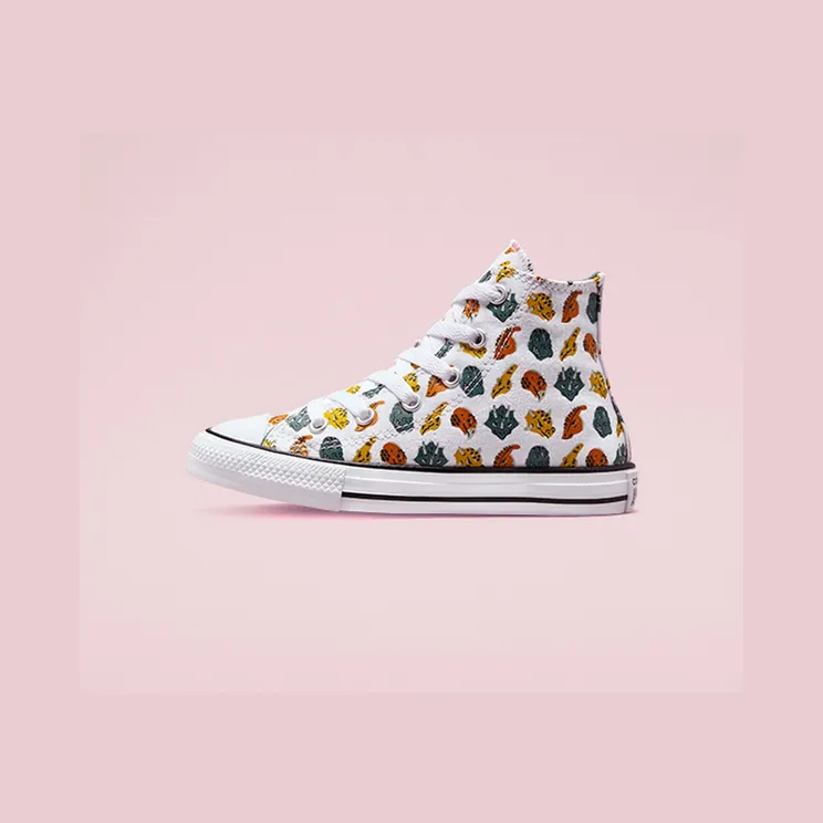 converse-chuck-taylor-all-star 671707C