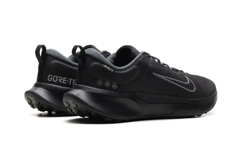 Nike Juniper Trail 2 GORE-TEX “Black Cool Grey” (HM9734-001)