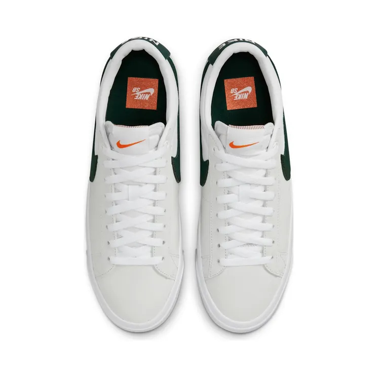 nike-zoom DR9099-100