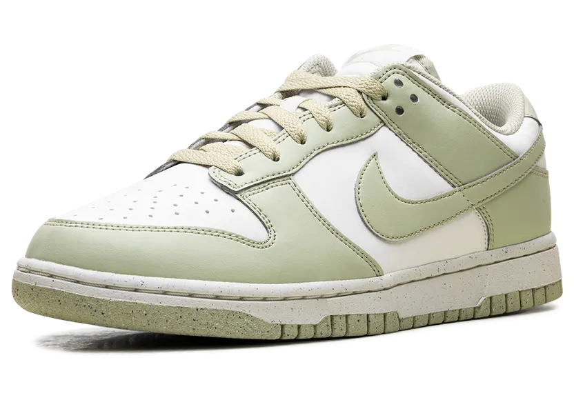 nike-dunk HF5384-300
