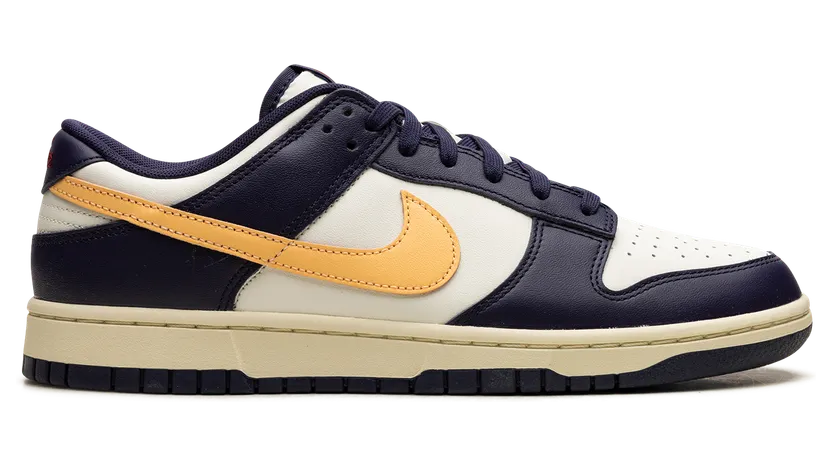 nike-dunk FV8106-181