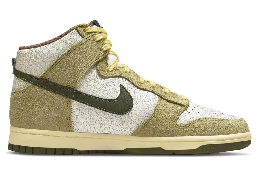 nike-dunk DO6713-300