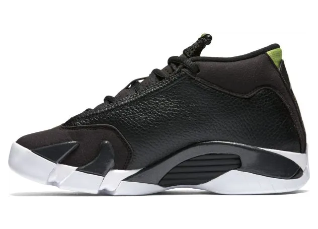 air-jordan-14 487524-005