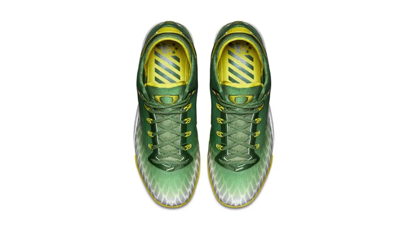Nike Zoom Field General Oregon Ducks Apple Grey/White-Yellow Strike (654859-371)
