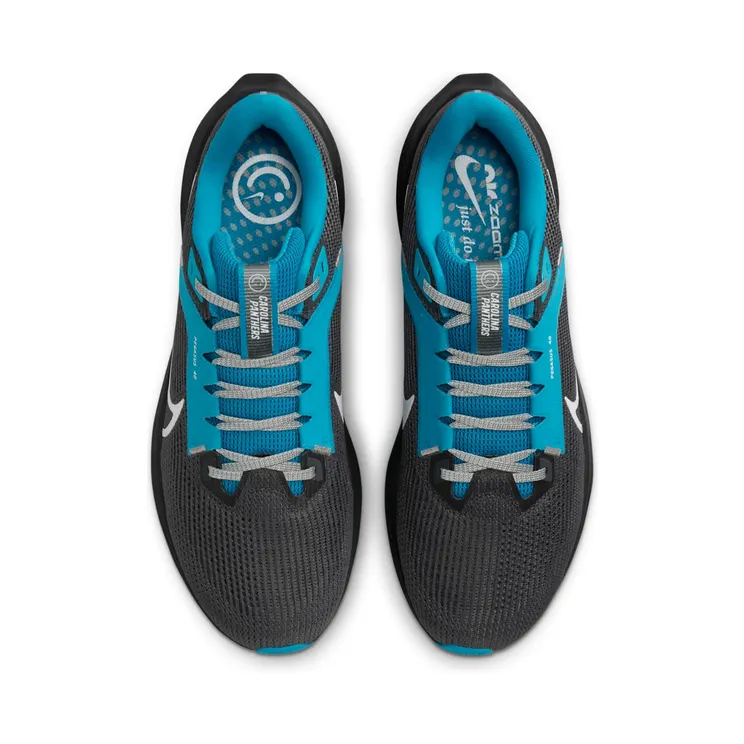nike-air-pegasus DZ6010-001