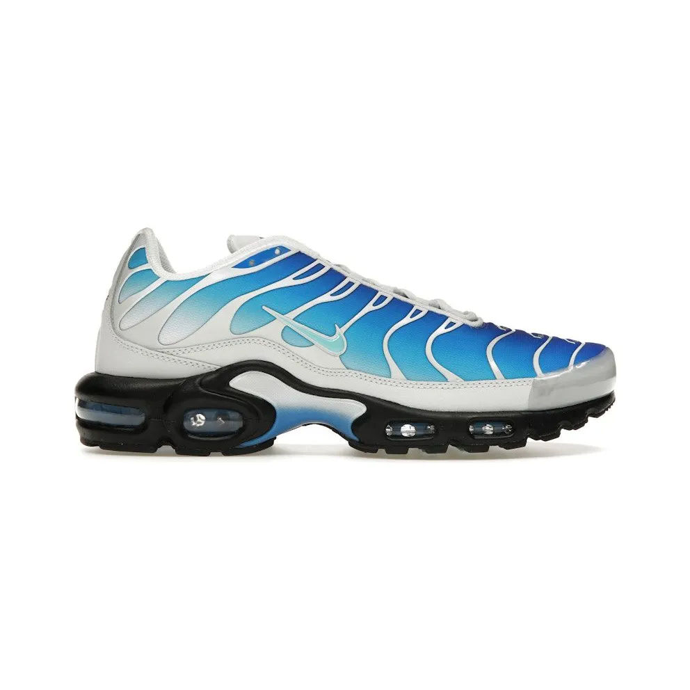 Nike Air Max Plus One Block Down Light Photo Blue (FZ3308-400)