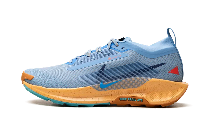 Nike Pegasus Trail 5 Gore-Tex “Blue Beyond” (FQ0908-400)