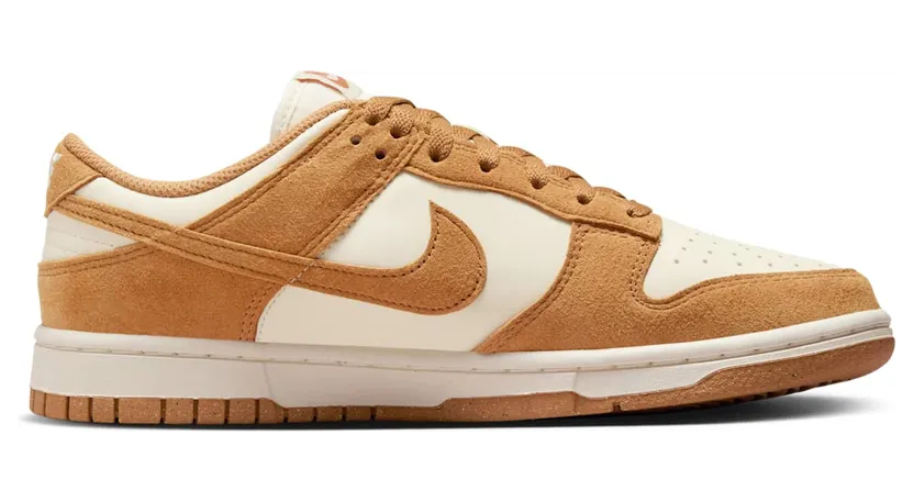 nike-dunk HJ7673-100