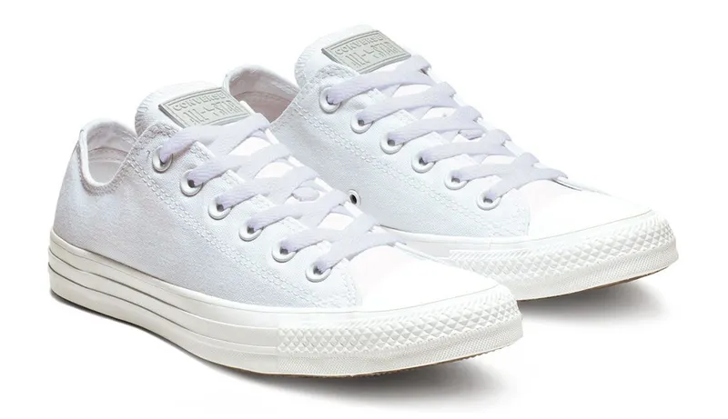 Converse Mono Colour Chuck Taylor All Star Low Top (1U647)