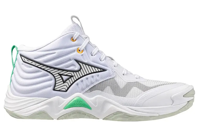 Mizuno Wave Momentum Wit (V1GA251721)