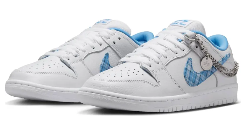 nike-dunk-sb FZ8802-100