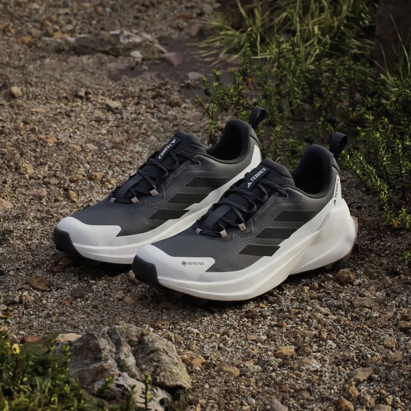 Adidas Terrex Trailmaker 2 GORE-TEX Hiking Chalk White / Core Black / Carbon (JR6576)