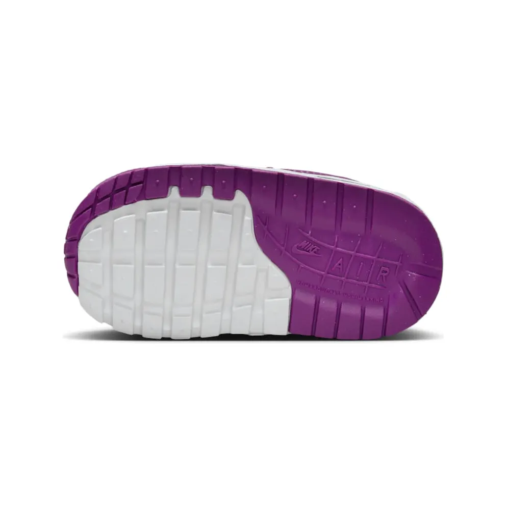 Nike Air Max 1 Summit White/White/Viotech (DZ3309-109)