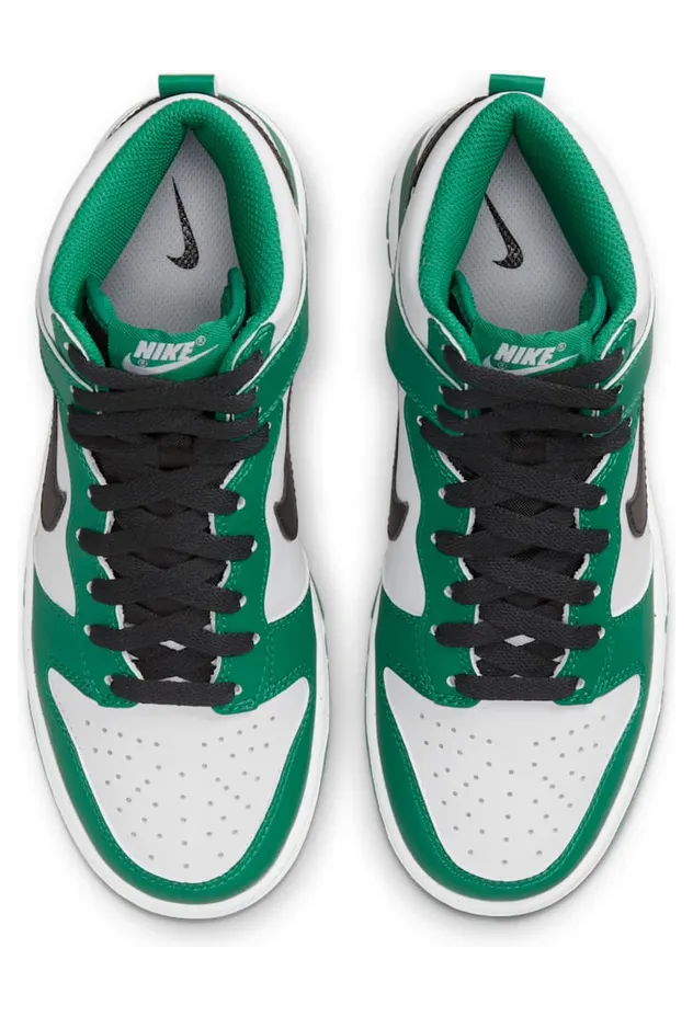 nike-dunk DR0527-300