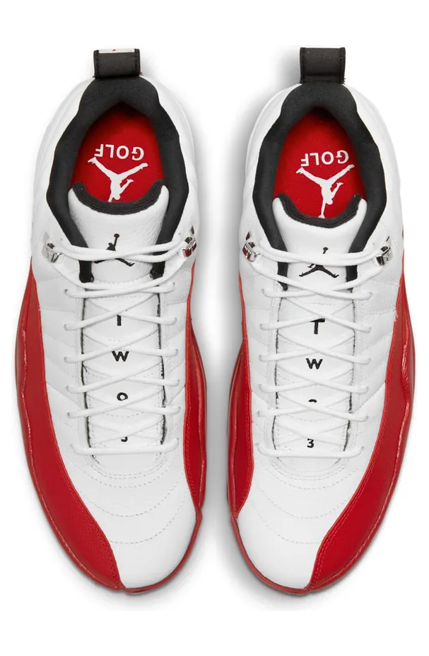 air-jordan-12 DH4120-161