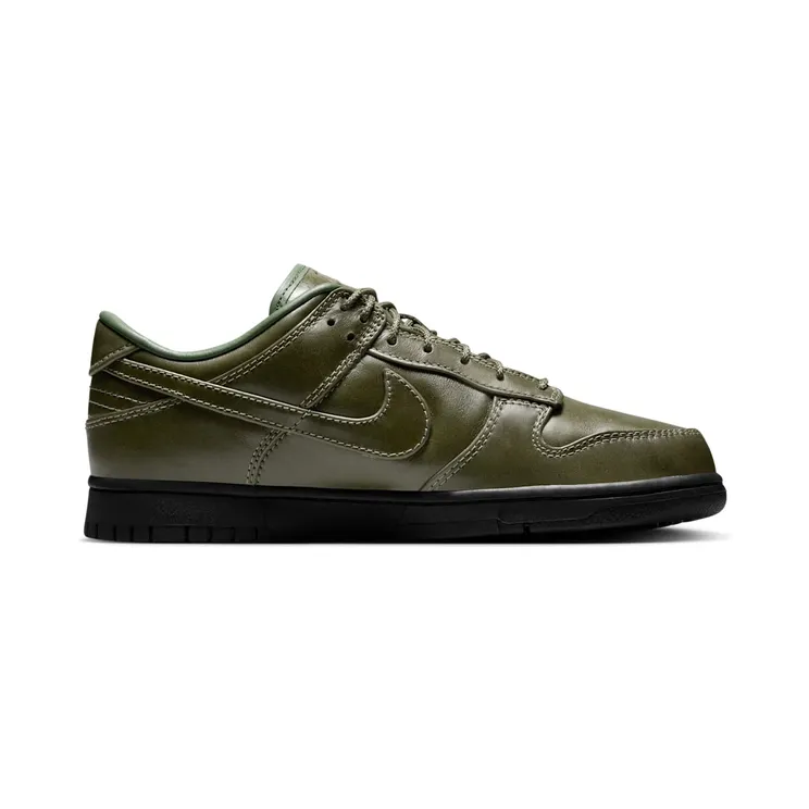 nike-dunk IQ3342-300