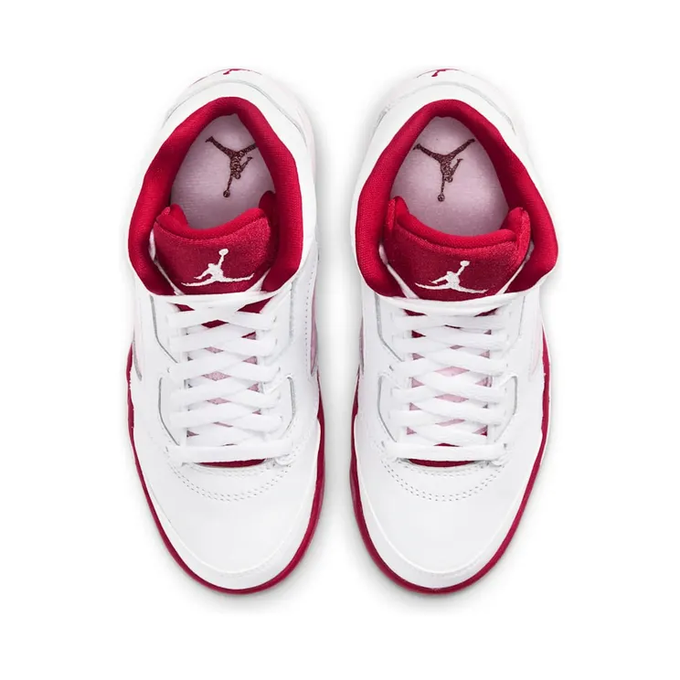 air-jordan-5 440893-106