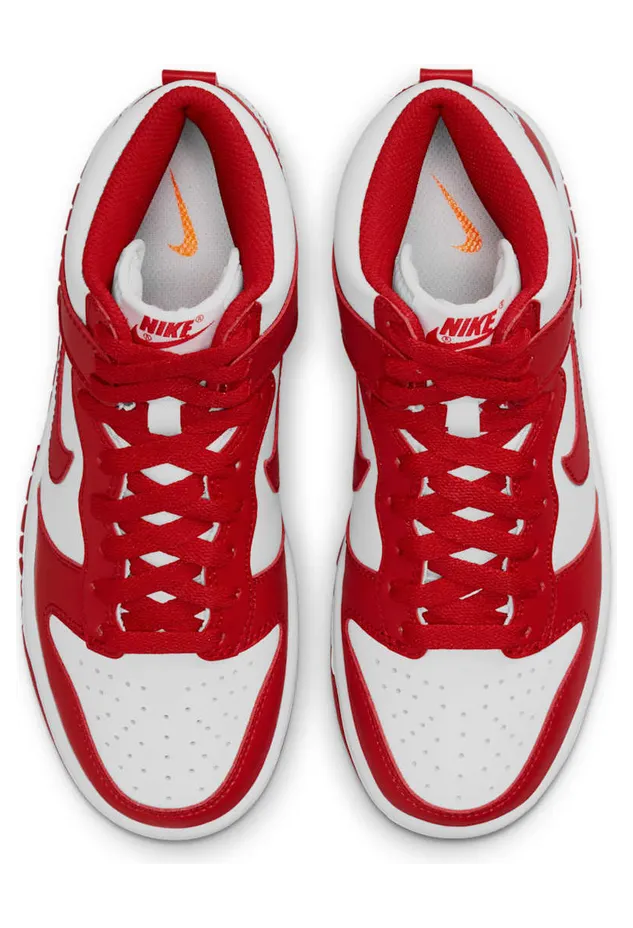 nike-dunk DB2179-106
