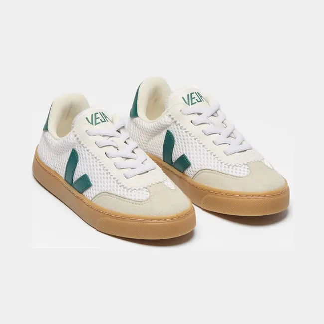 veja-volley SY2221522