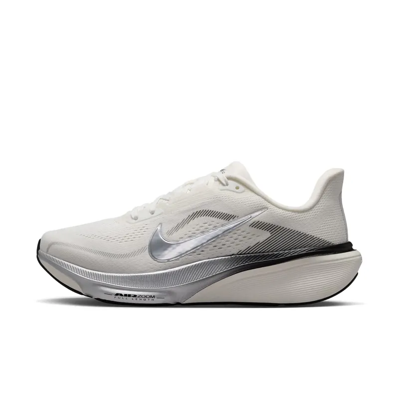 Nike Pegasus Summit White/Sail/Black/Metallic Silver (IR0298-100)
