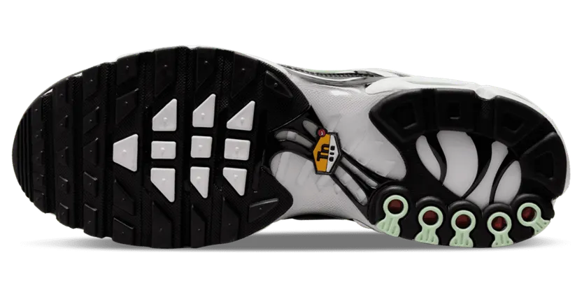 Nike TN Air Max Plus Seafoam Grey Black (DH4776-100)