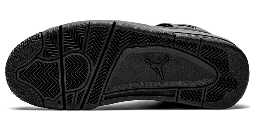 Air Jordan 4 Retro Pony Hair (CK2925-001)