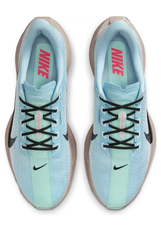 nike-air-pegasus FQ7262-406