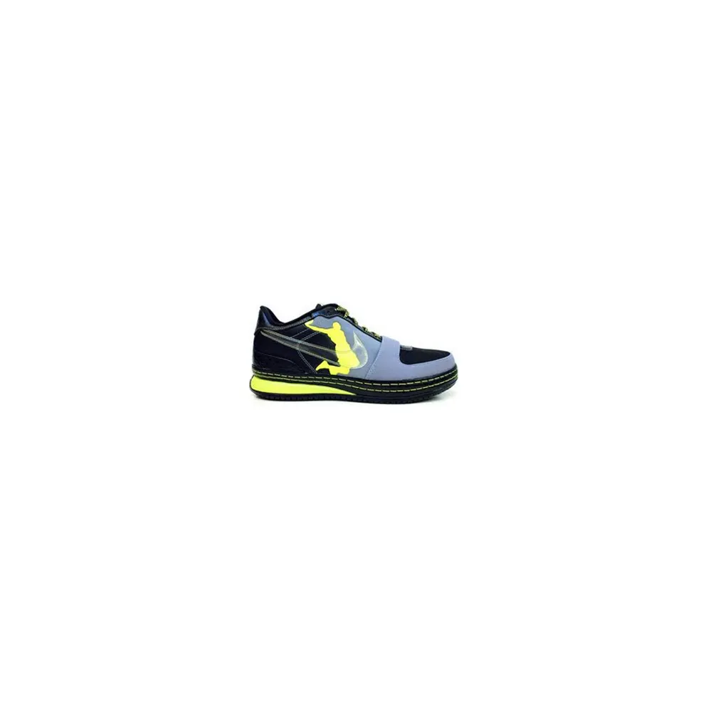 Nike LeBron 6 Low Dunkman (381302-091)