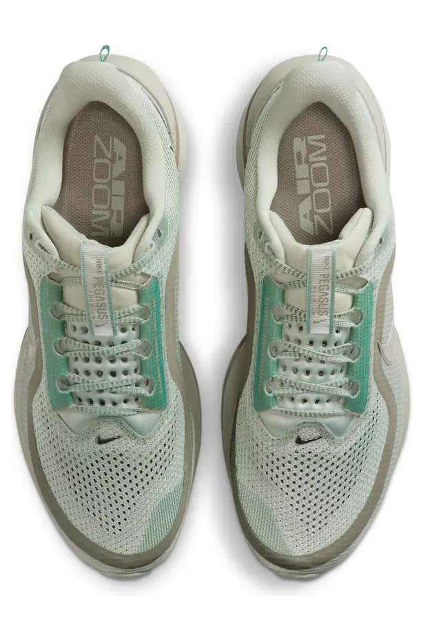 nike-air-pegasus HQ2592-300