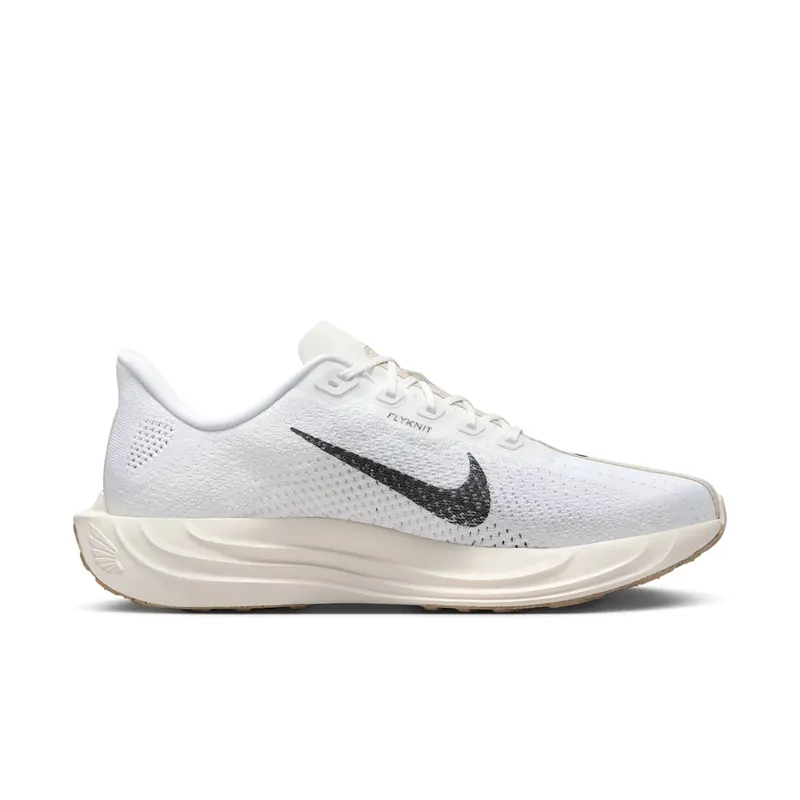 Nike Pegasus Plus Sail Orewood Anthracite (FQ7262-100)